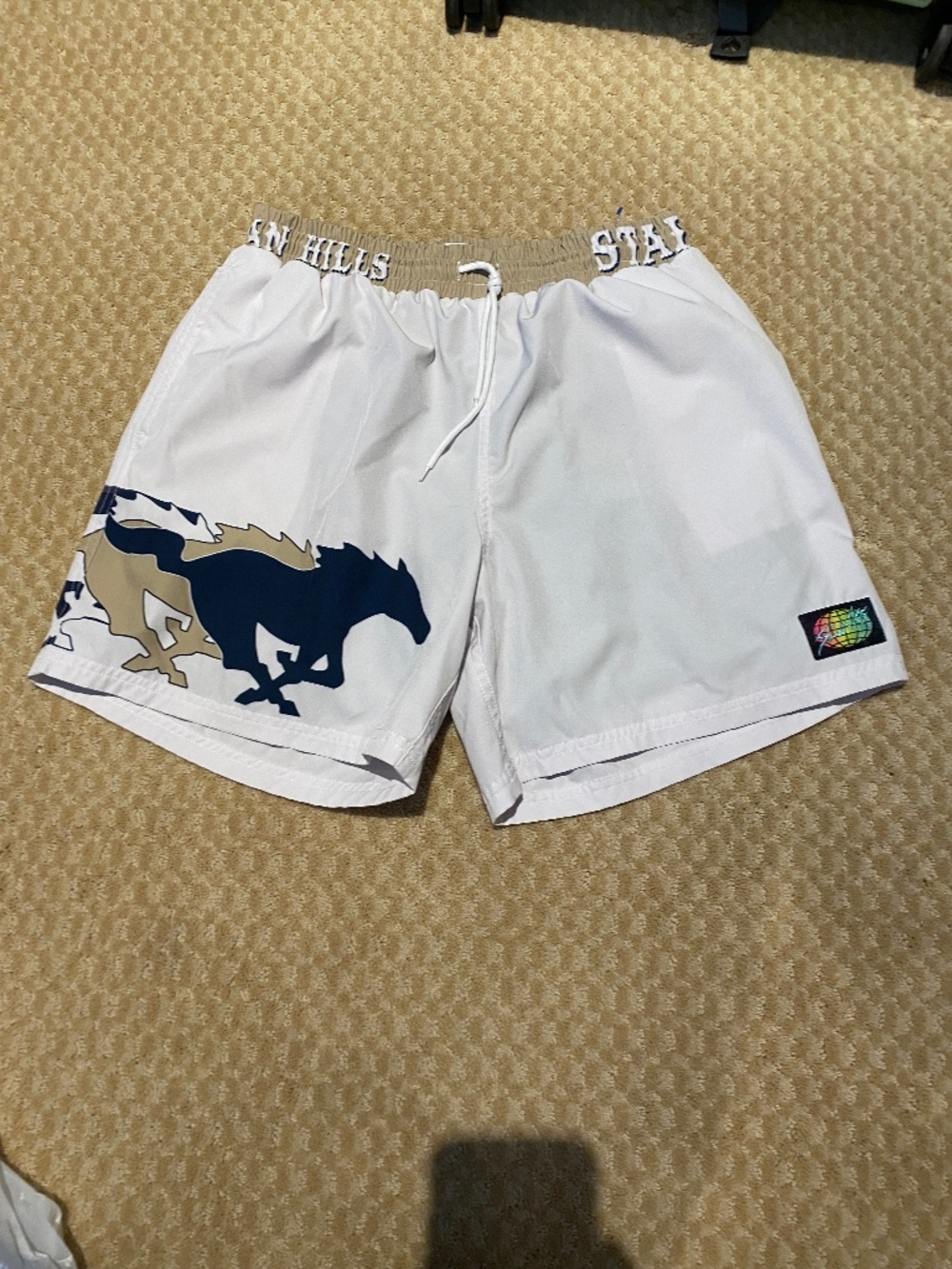 Slunks large 2 in 1 shorts